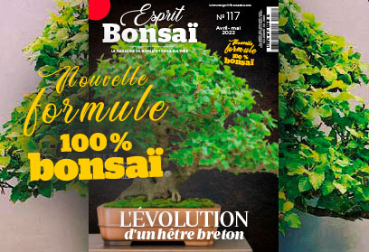 Esprit Bonsaï n°117 Avril-Mai 2022 - Nouvelle formule 100% Bonsaï  